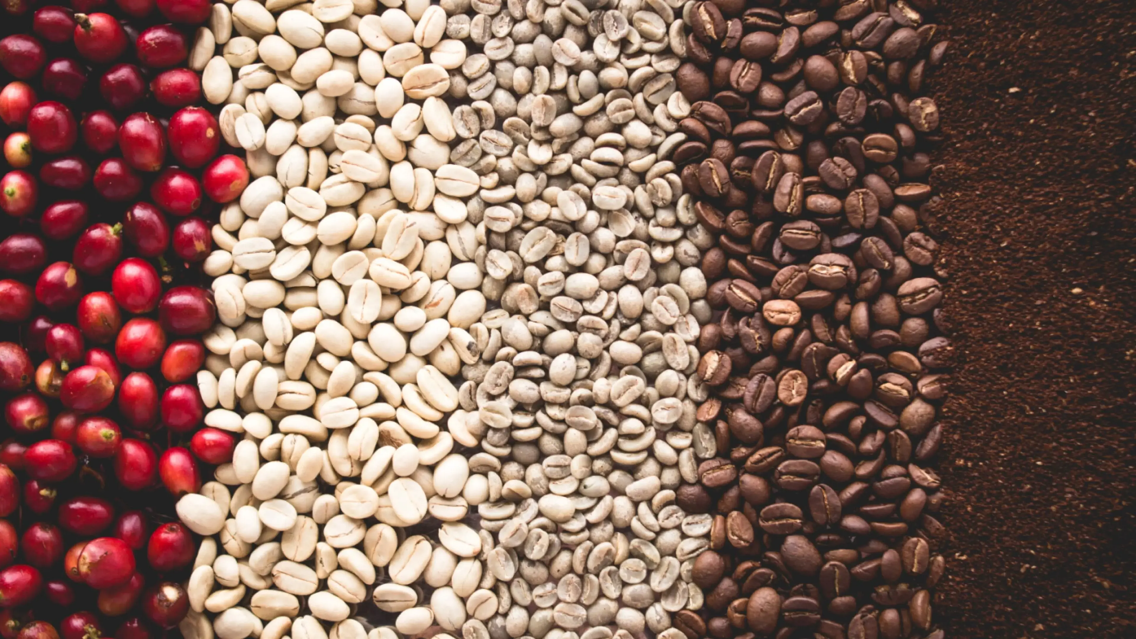 Coffee Update Header March 22